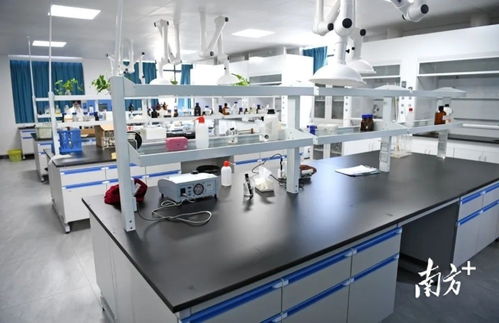 陽春市自來水廠擴容工程即將竣工運營，提升城市供水保障能力